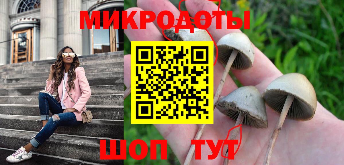 Псилоцибиновые грибы Cubensis Павловский Посад