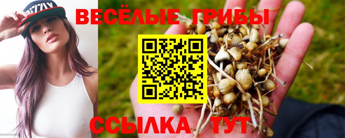Псилоцибиновые грибы мухоморы  Вход с VPN  Псилоцибиновые грибы прущие грибы  Павловский Посад 